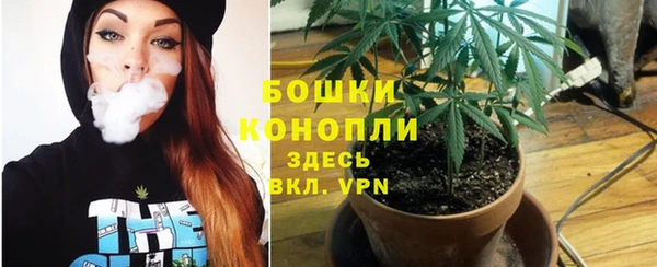 крисы Белокуриха